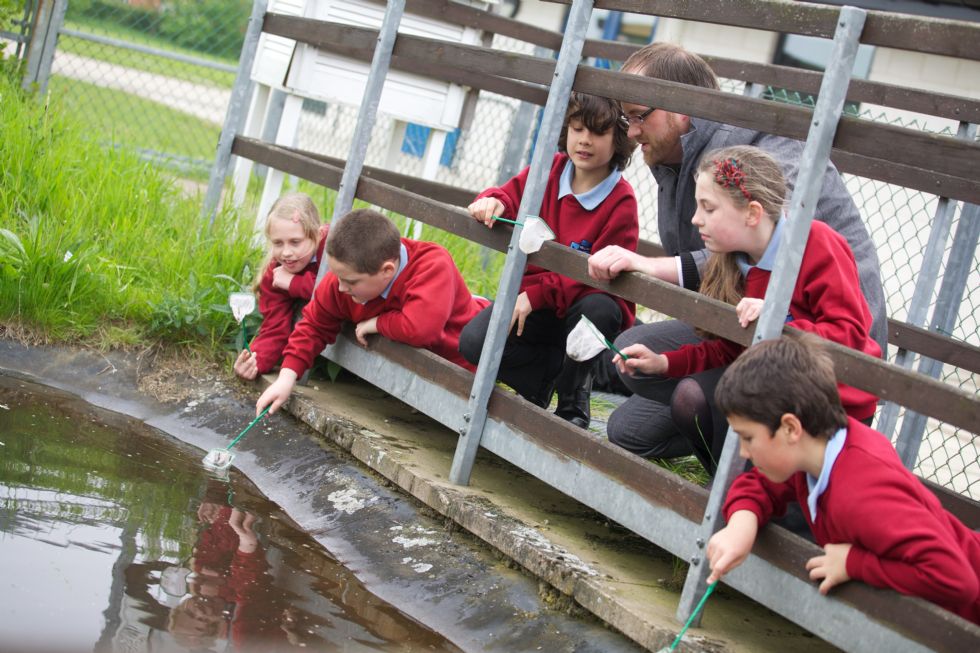 Hillcrest Primary School Admissions hillcrest-primary-school-admissions